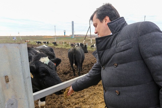 Новый животноводческий комплекс появится в Починковском районе Нижегородской области