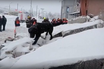 Кинологи убедятся в отсутствии людей под завалами на Мещерском бульваре