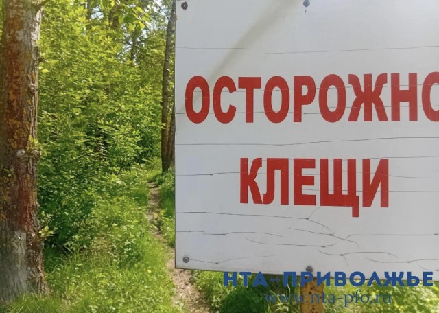 Свыше 8,6 тыс. татарстанцев обратились в больницы после укусов клещей Свыше 8,6 тыс. татарстанцев обратились в больницы после укусов клещей