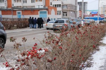 &quot;Все выявленные недостатки в ходе субботних обходов города должны быть устранены ко вторнику&quot;, - Алексей Ладыков