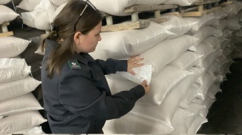 Первую партию пшеничной муки отправили из Чувашии в Армению