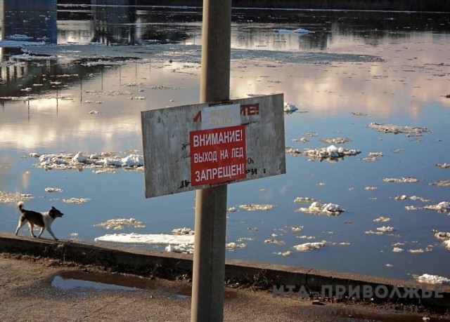 Вскрытие малых рек зафиксировано в 24 районах Саратовской области