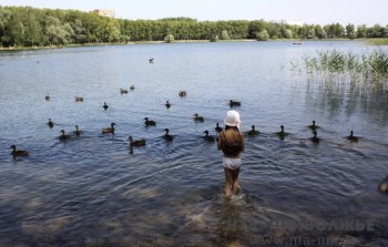 Охранную зону вокруг оз. Светлое утвердили в Нижегородской области
