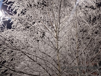 Снег в Нижегородской области продолжится до конца недели