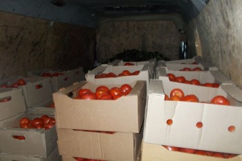 Свыше 68 тонн запрещенной к ввозу сельхозпродукции изъяли саратовские таможенники за пять лет