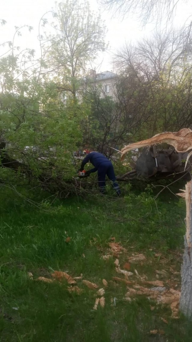 Последствия шквалистого ветра устраняют в Нижнем Новгороде Последствия шквалистого ветра устраняют в Нижнем Новгороде