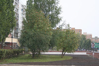 В Советском районе Н.Новгорода 26 июня содержание в воздухе диоксида азота превысило допустимую норму в 2 раза