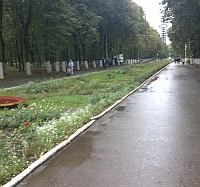 В обмен на сухостой и больные деревья Автозаводский парк получит новые ценные саженцы, - директор парка Борис Корхин
