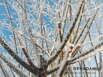 Снежные выходные ожидаются в Нижегородской области