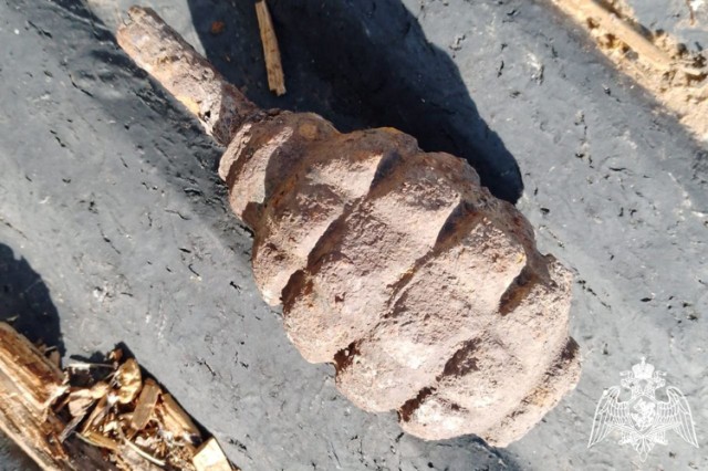 Житель Чувашии нашёл гранату при покосе газона
