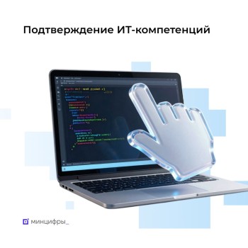 Нижегородская область вошла в топ-10 по подтверждению ИТ-навыков