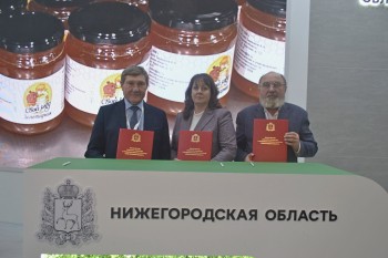 Нижегородская агрофирма построит ферму на 2,4 тысячи голов в Сосновском округе Нижегородская агрофирма построит ферму на 2,4 тысячи голов в Сосновском округе
