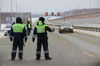 12 незаконных мигрантов выявили в ходе рейда на М-12 в Нижегородской области