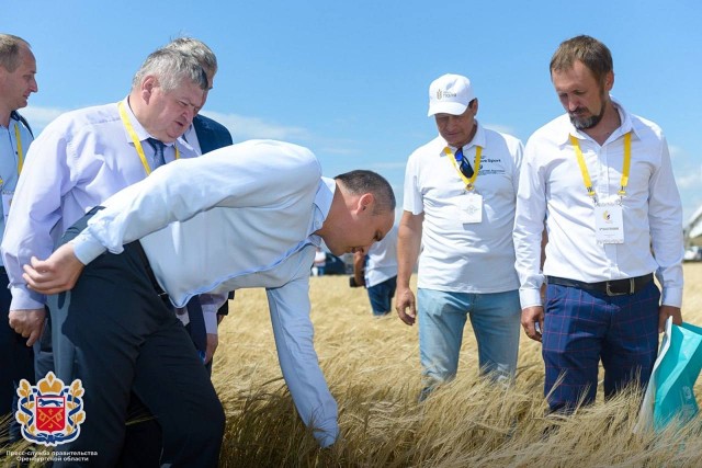 Оренбургские хлеборобы намолотили первый миллион тонн зерна