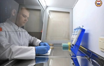 Метод лечения грибка с помощью борщевика Сосновского предложили в Мордовии