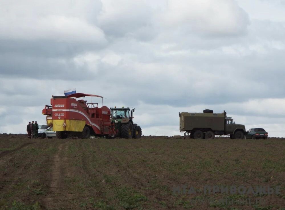 Народные приметы: 29 октября 