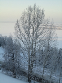 Незначительное ослабление морозов ожидается в Нижегородской области в ближайшие дни

