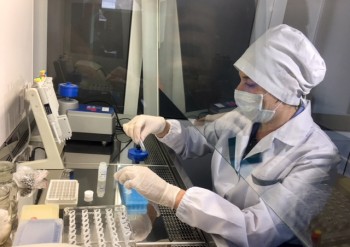 Энцефалитные клещи обнаружены в пяти районах Нижегородской области