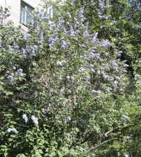 В Нижегородской области в ближайшие дни ожидается похолодание 