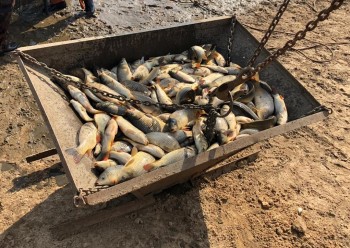 Сезон зарыбления водоёмов открыт в Нижегородской области