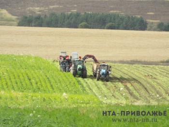 Оренбуржье вошло в число лидеров в России по темпам заготовки кормов