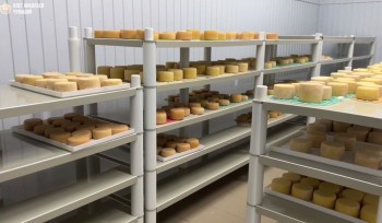 "Грантовая" сыроварня в Чувашии собирается производить до 20 т. продукции в год