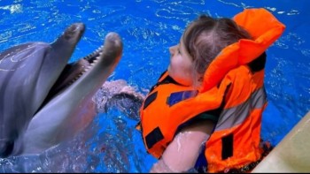 Артём Здунов исполнил мечту юной саранчанки о плавании с дельфинами