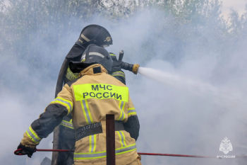 Частные дома и собачьи вольеры вспыхнули в Перми