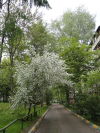 В Нижегородской области в ближайшие дни ожидается теплая погода без осадков

