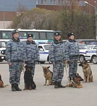 Более 50 собак проходят службу в кинологическом центре ГУ МВД по Нижегородской области 

