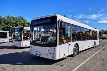 Работа садово-дачных автобусов в Самаре будет скорректирована с 1 сентября