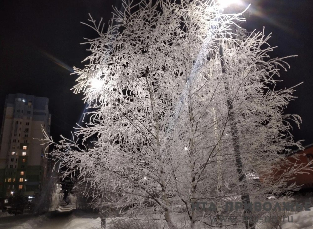 Народные приметы: 26 декабря