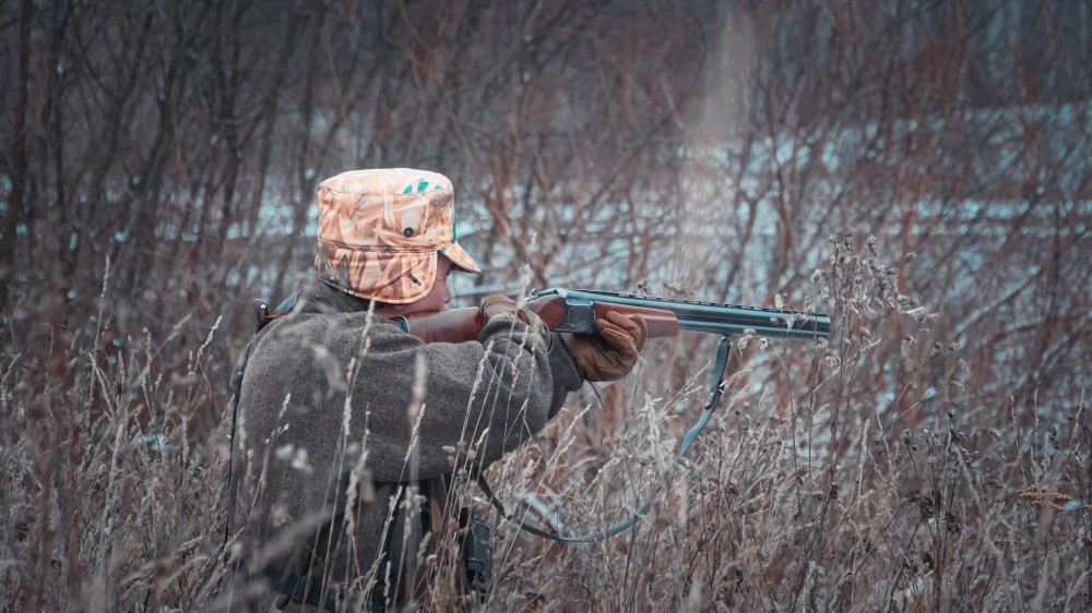 В Нижегородской области добыли 60 волков и 215 лисиц