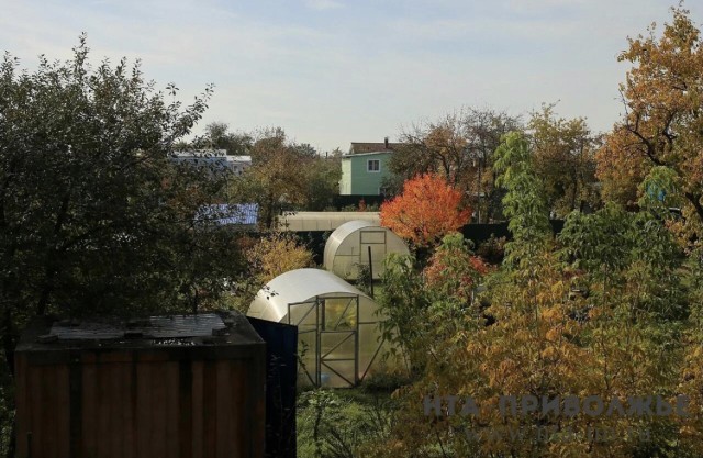 Нижегородские садоводы могут организовать свой населенный пункт Нижегородские садоводы могут организовать свой населенный пункт
