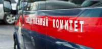 Уголовное дело возбуждено по факту гибели женщины и ее сожителя в Сормовском районе Нижнего Новгорода