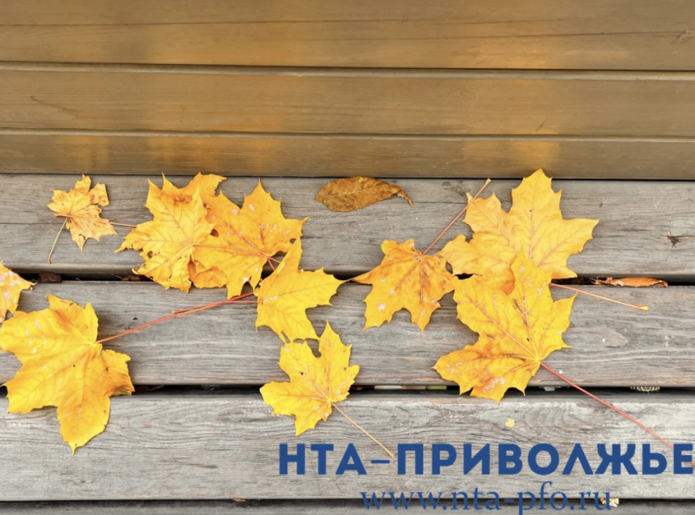 Народные приметы: 20 октября