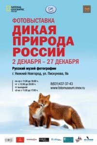 Более 160 фоторабот представлено на выставке &quot;Дикая природа России&quot;, которая пройдет в Нижнем Новгороде 2-27 декабря