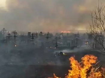 Площадь пожара у кладбища в Богородске составила 4 тыс. кв. м (ВИДЕО)