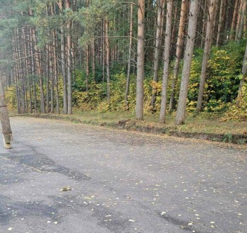 Руководитель МБУ в  Нижегородской области осуждён за превышение полномочий при приёмке лыжероллерной трассы