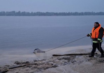 Мужчина утонул в Волге в Нижегородской области Мужчина утонул в Волге в Нижегородской области