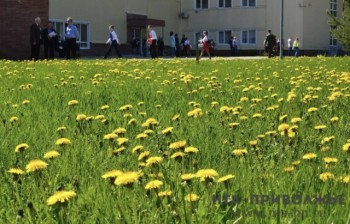 Народные приметы: 25 апреля