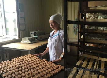 12 тыс. тонн хлеба произвели в Удмуртии за I квартал 12 тыс. тонн хлеба произвели в Удмуртии за I квартал