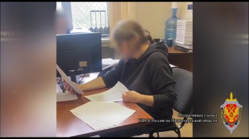 Нижегородка подозревается в передаче Украине данных о промпредприятиях