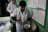 Министерство соцполитики Нижегородской области в морозы организовало горячие обеды для бездомных
