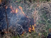 Нижегородские пожарные в минувшие сутки 15 раз выезжали на сообщения о загорании сухой травы
