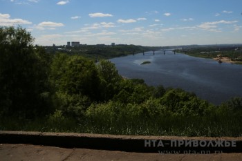 Лечебно-оздоровительные мероприятия для деревьев проведут при благоустройстве нижегородского парка &quot;Швейцария&quot;