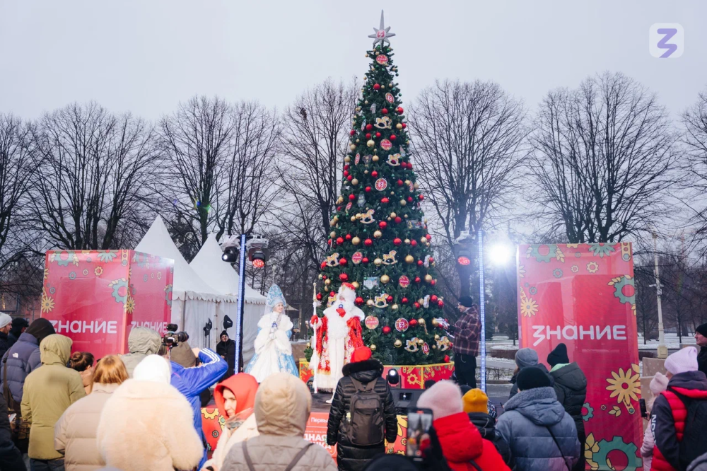 Игрушки победителей конкурса из ПФО украсили ёлку на ВДНХ
