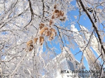 Народные приметы: 10 февраля