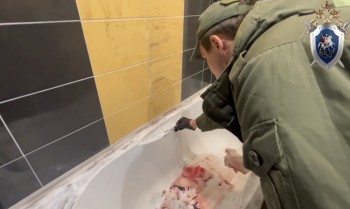 Убийцу двух пенсионеров в Сарове отправят на принудительное лечение Убийцу двух пенсионеров в Сарове отправят на принудительное лечение