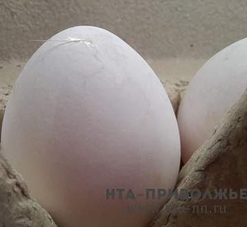 Поставки инкубационного яйца в Чувашию уже превысили объёмы 2023 года